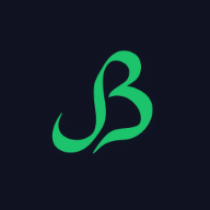 Shaharyar Babar Logo